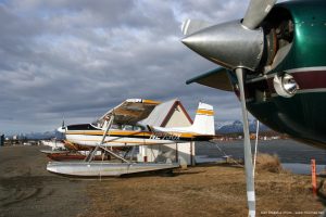 Cessna_180_airplane_picture_Alaska